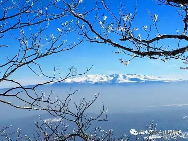 逃离撒丁岛